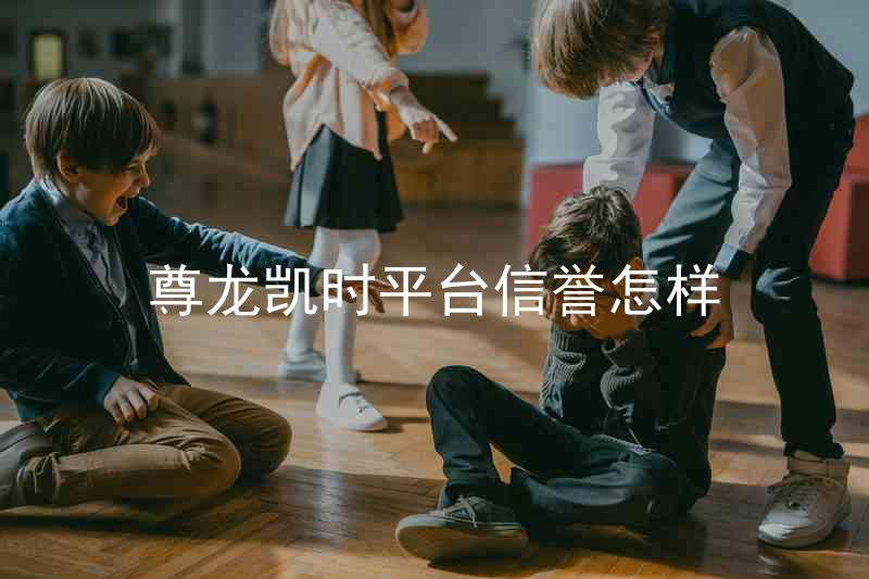 尊龙凯时平台信誉怎样
