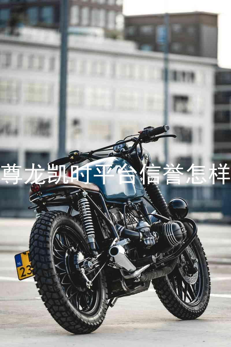 尊龙凯时平台信誉怎样