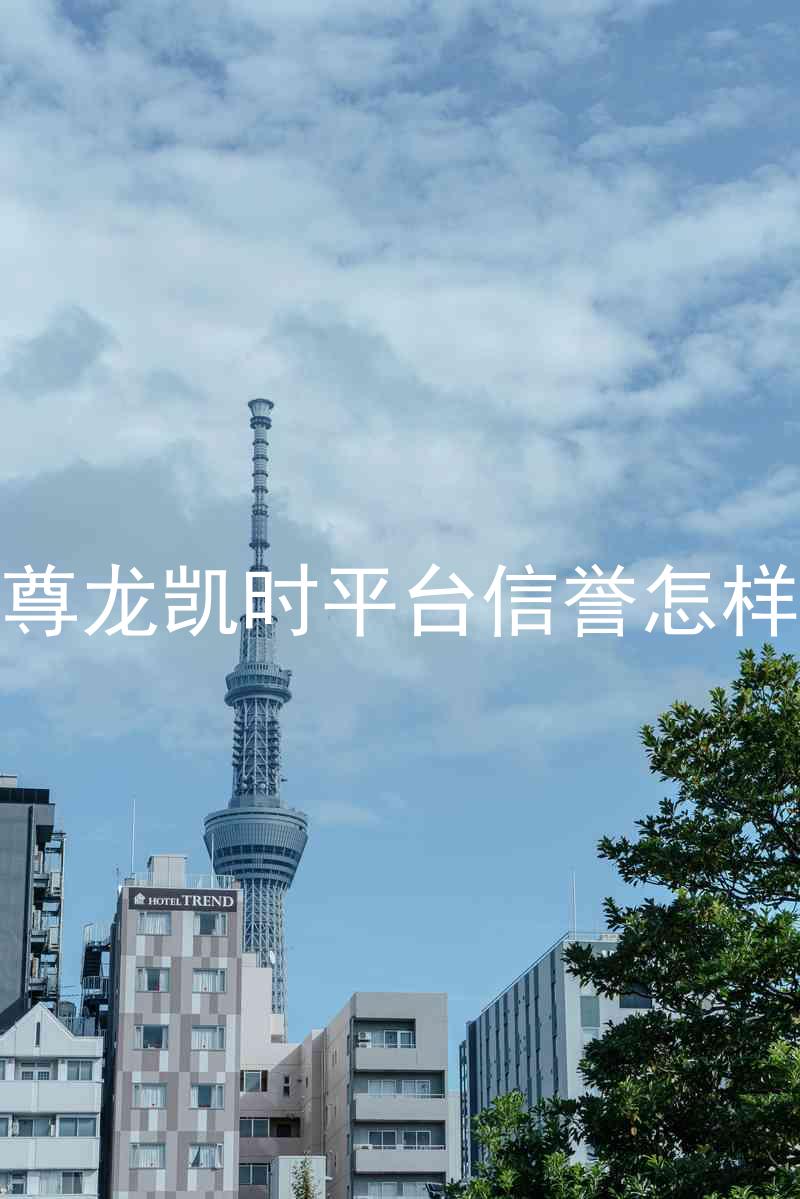 尊龙凯时平台信誉怎样