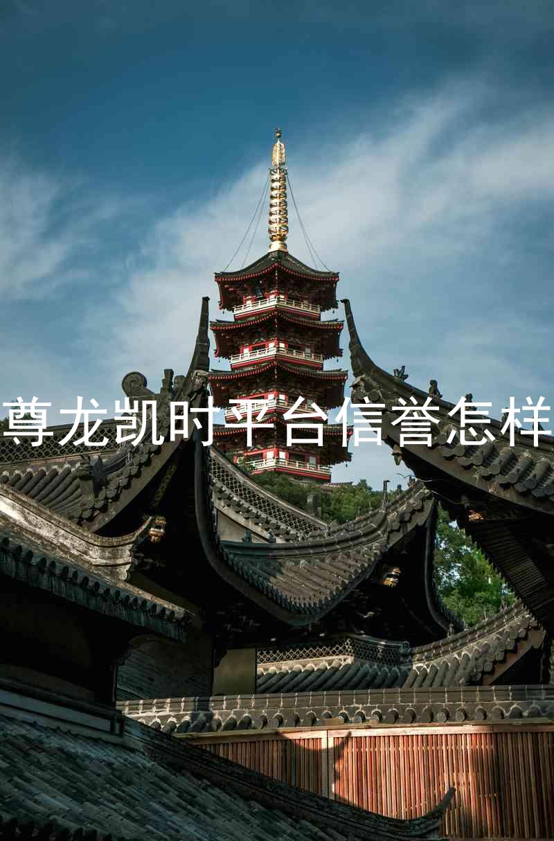 尊龙凯时平台信誉怎样